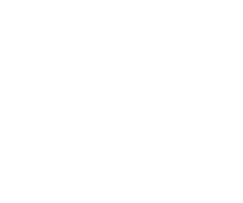 THE SHINRA