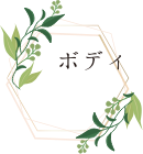 ボディ